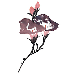 水墨牵牛花