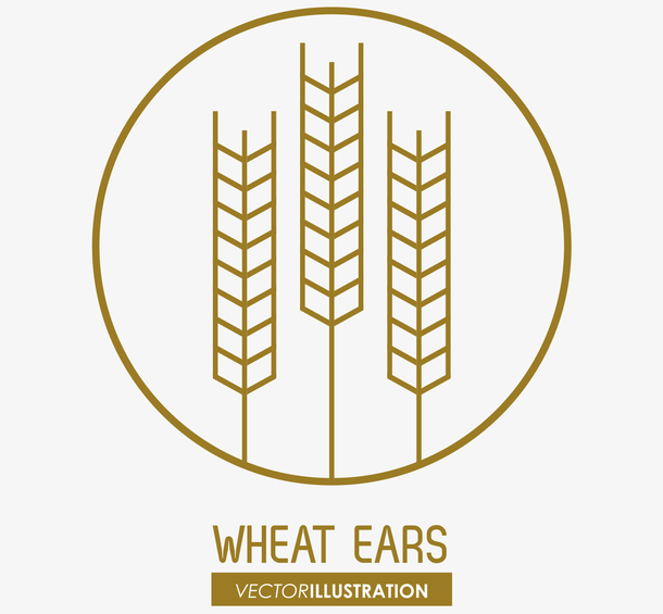 矢量手绘精致麦穗标志