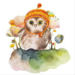 插画猫头鹰