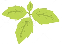 薄荷叶子矢量香料
