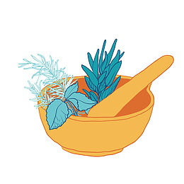 制作草药手绘简图