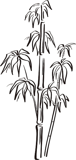挺拔的竹子竹叶线描图