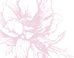 复古线描粉色菊花矢量素材