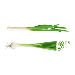 葱花矢量图免抠下载