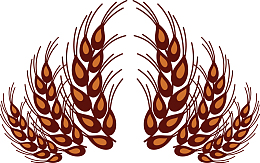 手绘谷物麦穗矢量图