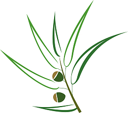 桉树植物图标矢量图
