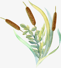 草广手绘元素_手绘/卡通设计元素_手绘/卡通免抠素材免费下载_觅元素