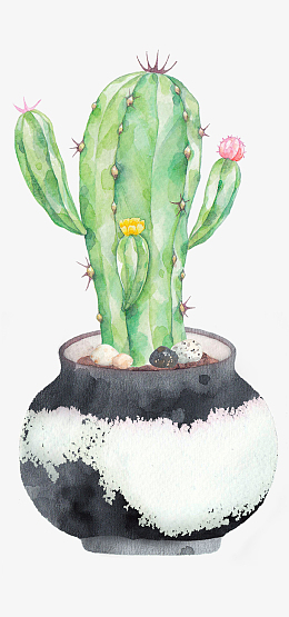 手绘清新仙人球盆栽