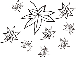 秋季枫叶线描图透明png