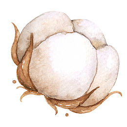 白色的棉花PNG