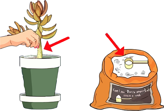 卡通肥料包装袋设计透明png卡通小女孩给植物施撒肥料png卡通肥料吉祥