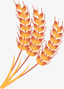 谷穗矢量图素材_谷穗矢量图png图片下载_觅元素