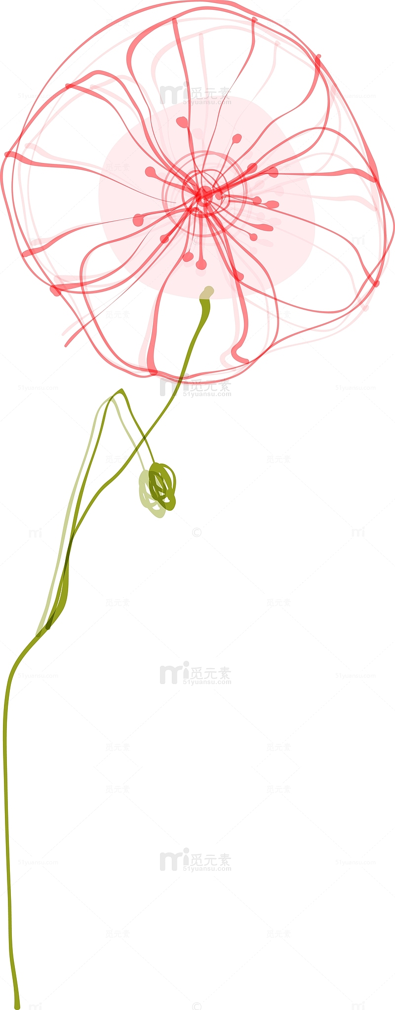 红色手绘罂粟花图