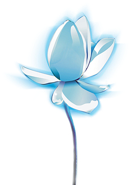 中国风蓝莲花