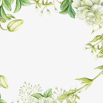 手绘水彩绿色花卉元素