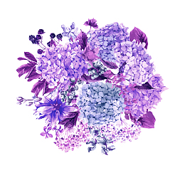 矢量绣球花