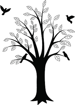 黑色手绘树叶脉络