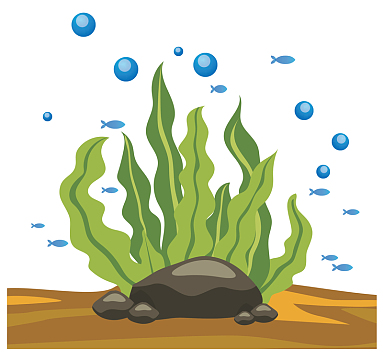 绿色矢量海底藻类植物aipng海带结精品图片素材png橙色海草卡通插画ai