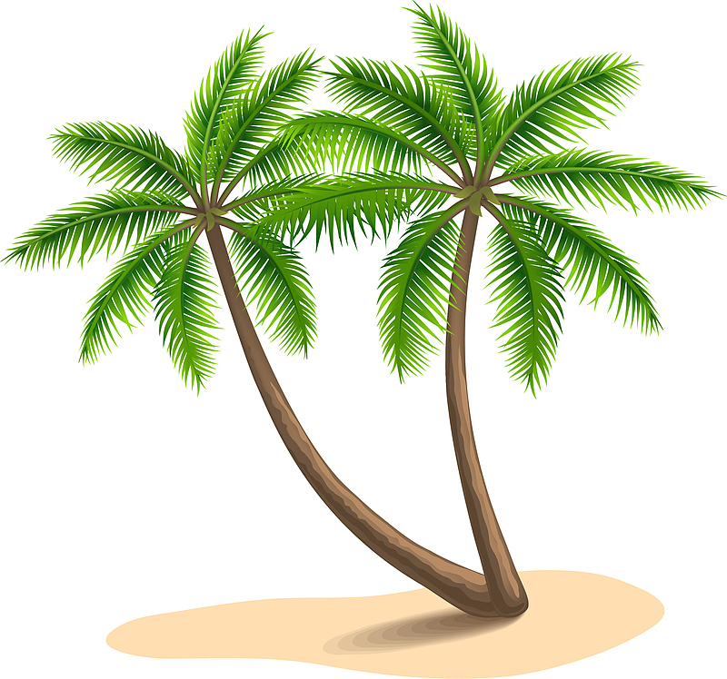 海岛沙滩椰树