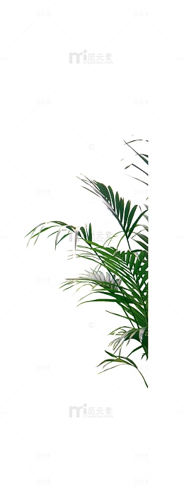 花草