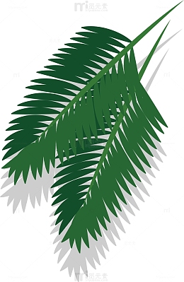 夏天海滩棕榈树叶子矢量素材