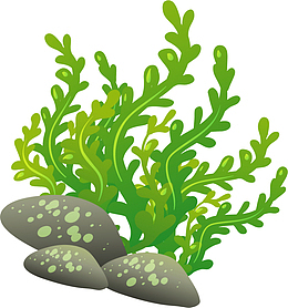 世界海洋日绿色海草