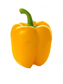 黄色美味菜肴黄灯笼椒实物