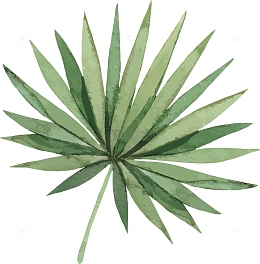 手绘水彩夏季植物绿色叶子矢量素