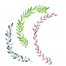 彩色植物手绘水彩植物叶子图案素