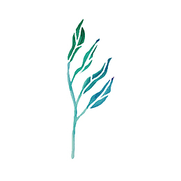 一边偏的深海水草