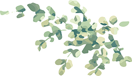 水彩清新植物装饰图案