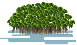 茂密的矢量红树卡通风格