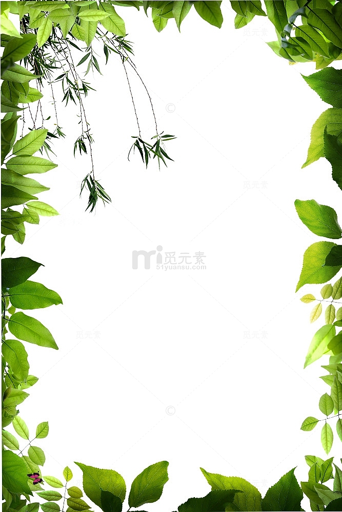 手绘绿色生机树叶边框