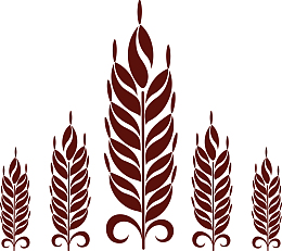 手绘麦穗谷物矢量图