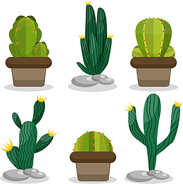 矢量种植的仙人掌