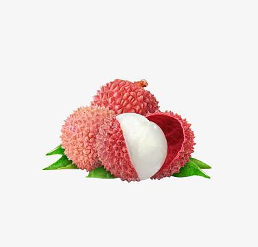 荔枝矢量素材_荔枝矢量图片元素-觅元素