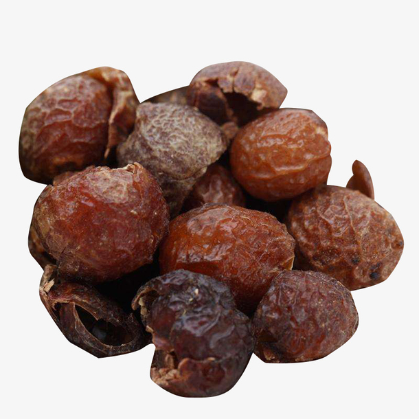 棕色无患子图片素材