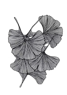 创意荷叶插画