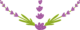 紫色薰衣草花环矢量