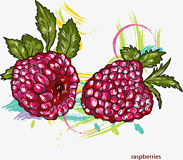 桑葚喷手绘/卡通图片免费下载_桑葚喷手绘/卡通素材_觅元素