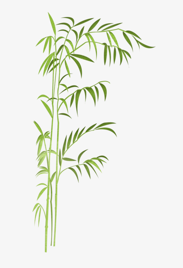 竹子素材免费下载_觅元素