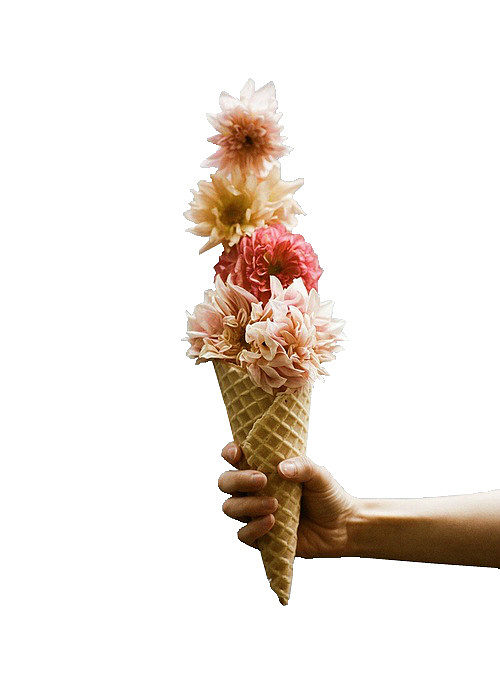 鲜花冰淇淋