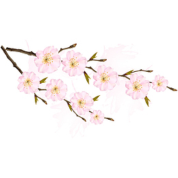 粉色树枝花朵