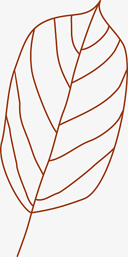 手绘叶子线稿免抠图