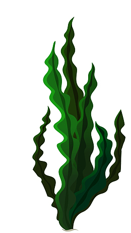 海草水草海洋生物素材
