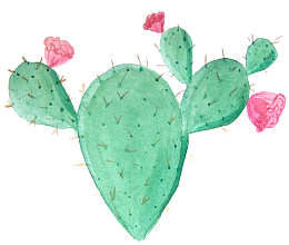 卡通水彩仙人掌免抠png装饰