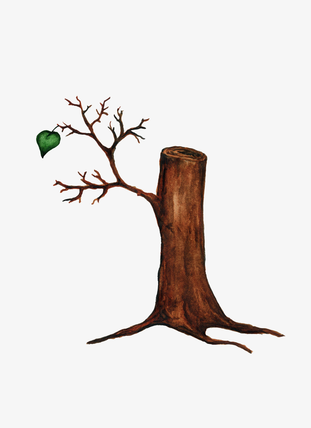 手绘褐色单叶树树桩