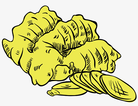 生姜植物epspng创意插画立秋植物简笔画彩绘位图jpg姜黄色鸡蛋花png