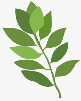 绿草矢量卡通香料