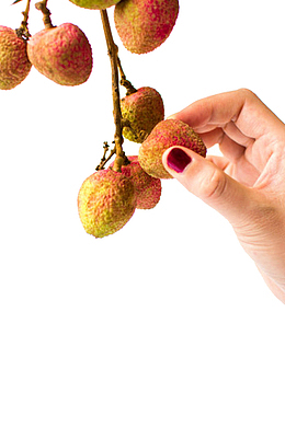 绿红色手摘新鲜荔枝实物